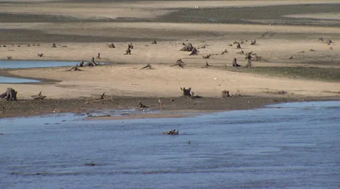 Dried Up Lake Closeup Stock Footage 32934919