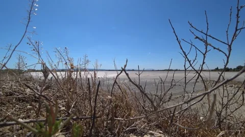 Dried lake Stock Footage 136590251