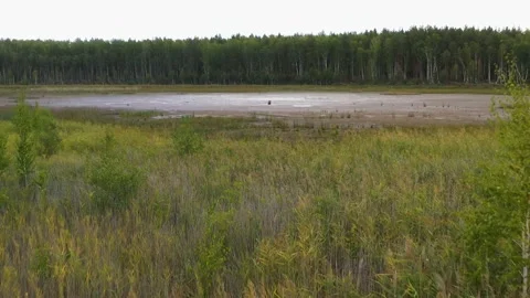 Dried-up lake, general plan from drone of bottom surface Stock Footage 211579289