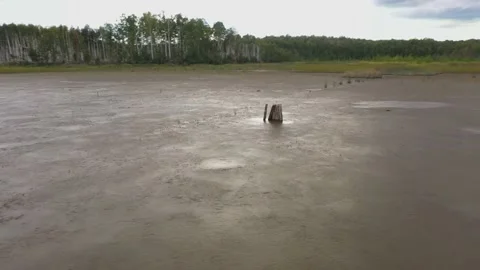 Dried-up lake, general plan from drone of bottom surface Stock Footage 211579419