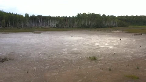 Dried-up lake, general plan from drone of bottom surface Stock Footage 211579428