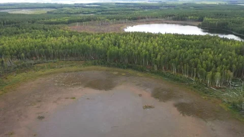 Dried-up lake general view, top plan Stock Footage 210230812