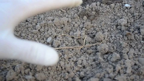 Dried up land in the garden Stock Footage 108804188