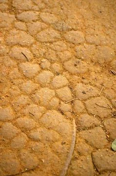 Dried land Stock Photos