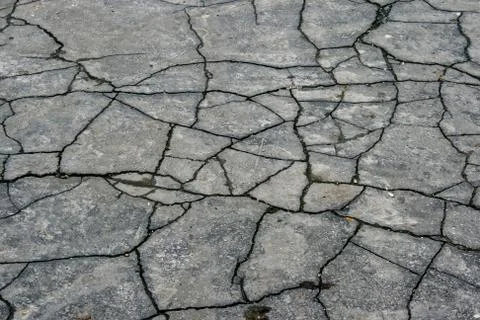 Dried  land Stock Photos