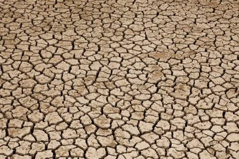 Dried Land Suffering from Drought Stock Photos