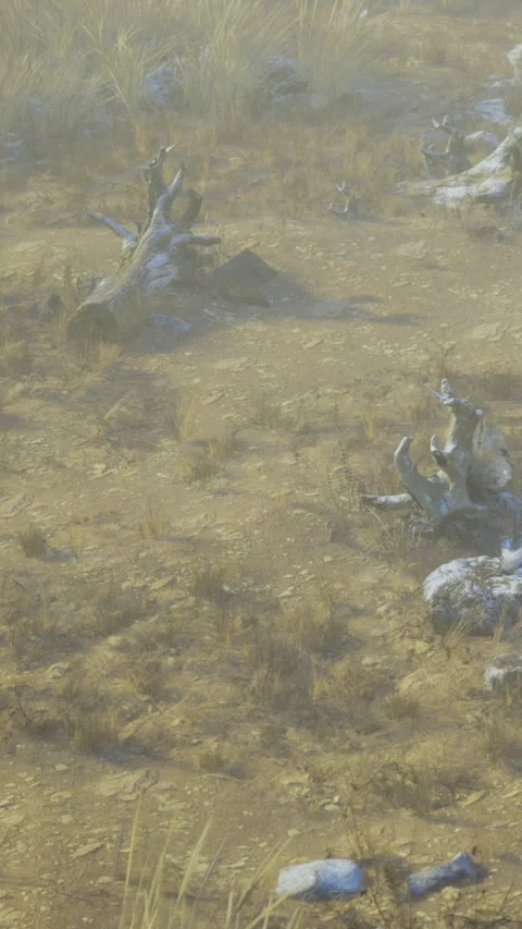 Dried landscape with dead plants and rocks in a desolate area Stock Footage 334257946