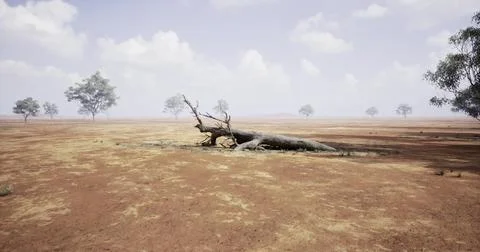 Dried landscape with fallen tree under a cloudy sky in arid region 스톡 일러스트