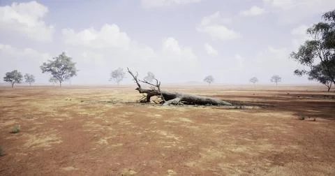 Dried landscape features fallen tree surrounded by sparse vegetation and clou Illustrazione stock