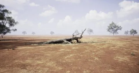 Dried landscape featuring a fallen tree in a vast arid environment Stock Illustration
