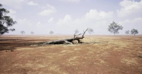 Dried landscape featuring fallen tree and sparse vegetation under cloudy sky 스톡 일러스트