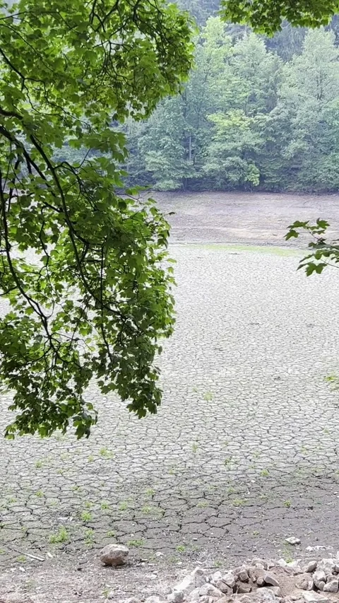 A dried up large lake during the summer drought. Problems of global warming Stock-Footage 250387045