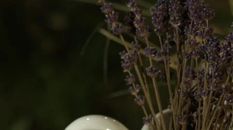 Dried Lavanda in cup Stockbeeldmateriaal 58056366