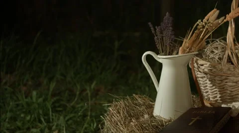 Dried lavander in pitcher Stockbeeldmateriaal 58059486