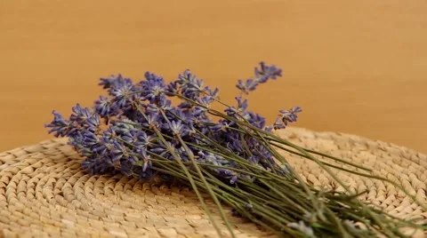 Dried lavender Stock Footage 40236241