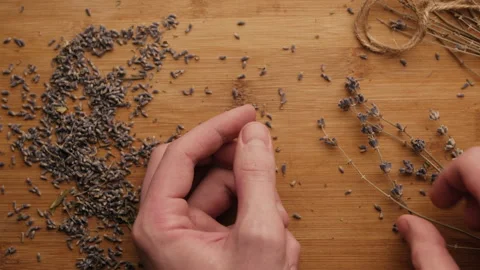 Dried lavender. Stock Footage 242761995