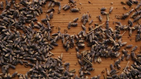Dried lavender. Stock Footage 242761996