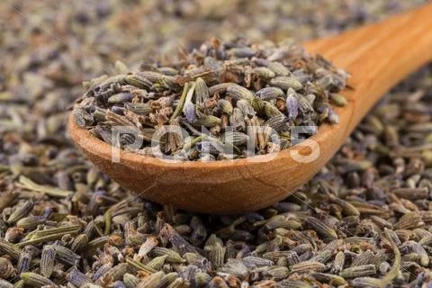Dried lavender organic tea Stock Photos