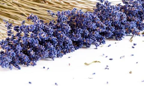 Dried lavender Stock Photos
