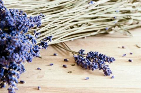 Dried lavender Stock Photos
