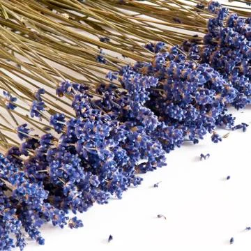 Dried lavender Stock Photos