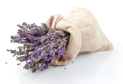 Dried lavender in a sack Stock Photos
