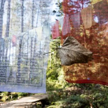 A dried leaf caught in a prayer flag; Paro, Bhutan Stock Photos