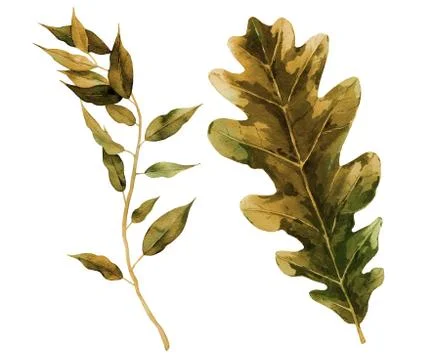 Dried leaf elements for pattern, print, background, cards, banners design in Stock Illustration