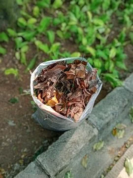 Dried leaves Stock Photos