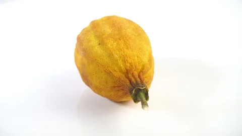 Dried lemon isolated - Turn around Stock Footage 280896923