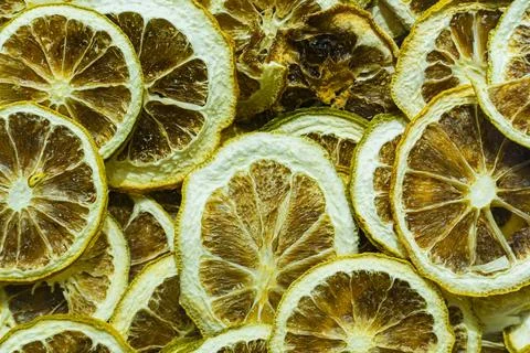 Dried Lemon Slices Close Up 스톡 사진