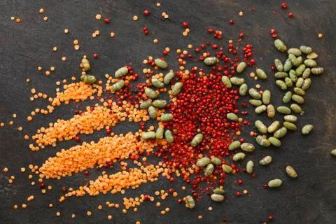 Dried lentils and soya beans  with red peppercorns Stock Photos