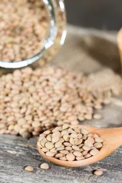 Dried lentils Stock Photos