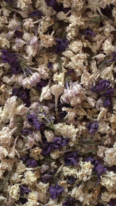 Dried lilac flowers background. Close up view. Vertical video. Stock Footage 278120089