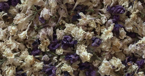 Dried lilac flowers background. Close up view. Stock Footage 278120122