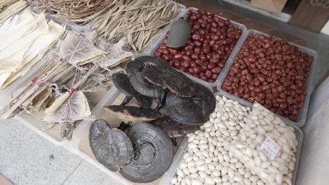 Dried Lizards Stock Footage 113436827