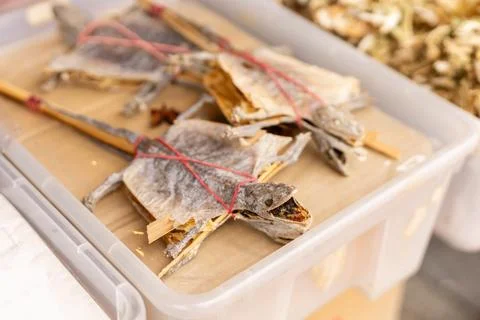 Dried lizards lay on a table surrounded by herbs in a local market. Stalls .. Stock Photos