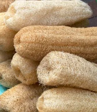 Dried loofah Stock Photos