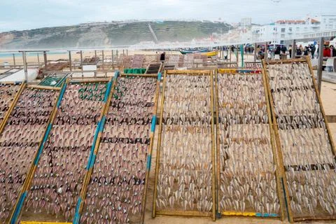 Dried Mackerel Stock Photos