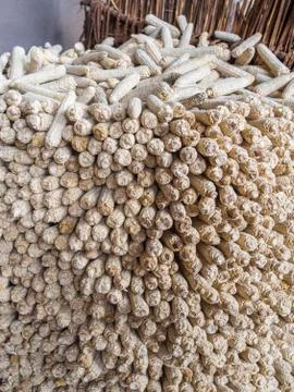 Dried maize or corn cobs stacked to be used as fuel for wood fire, Ha Kome Cave Stock Photos