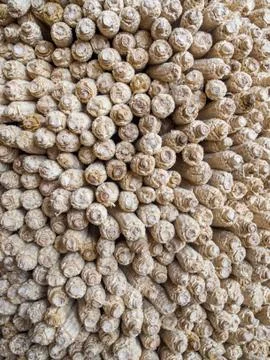 Dried maize or corn cobs stacked to be used as fuel for wood fire, Ha Kome Cave Stock Photos