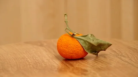 Dried mandarin on a table Stock Footage 75940972