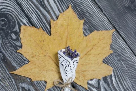 A dried maple leaf and a lavender bouquet on brushed black and white pine boa Foto stock
