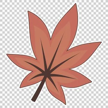 Dried maple leaf Stock Illustration