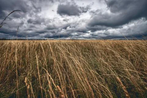A dried up meadow with dramatic storm clouds Stock Photos