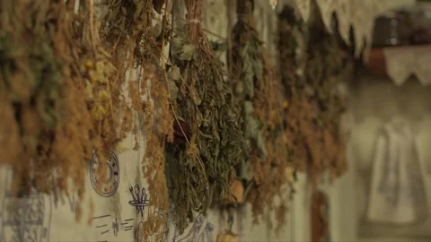 Dried meadow plants and tree branches, sauna brooms Video stock 238451538