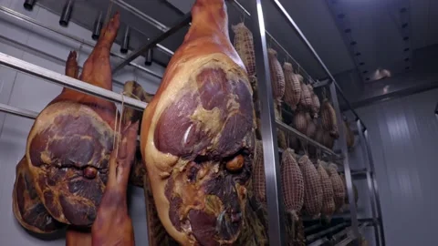 Dried meat Stock Footage 171580598