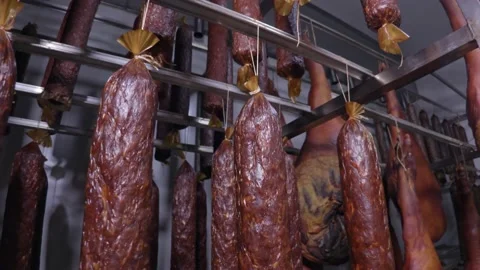 Dried meat products Stock Footage 171579774