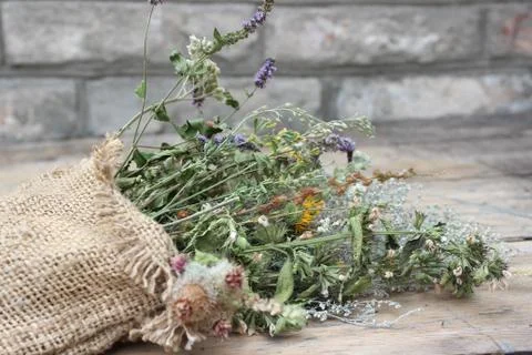 Dried medicinal herbs Stock Photos