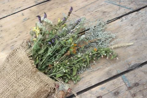 Dried medicinal herbs Stock Photos